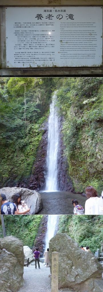 これが養老の滝の本物です