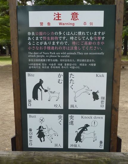 奈良公園の鹿に関する注意看板