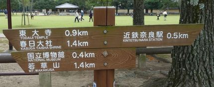 正倉院展へのご案内