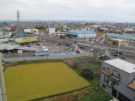 台風はどこに逝ってしまったのか...