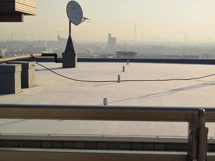 今朝は冷え込んでいます