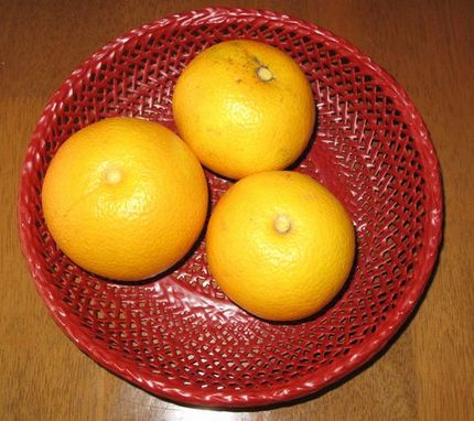 八朔のオニイサン