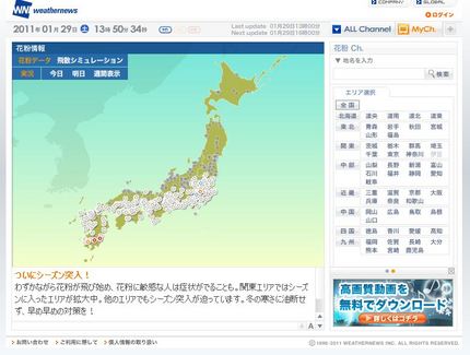 花粉の情報
