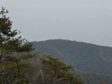 お山に出かけます