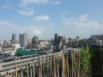 台北29日の朝は快晴