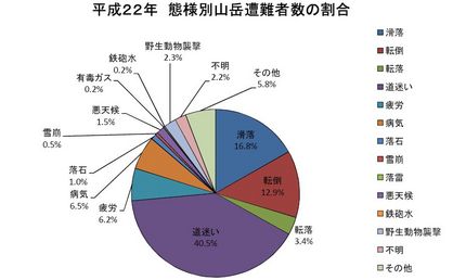 2010年の山岳遭難レポート