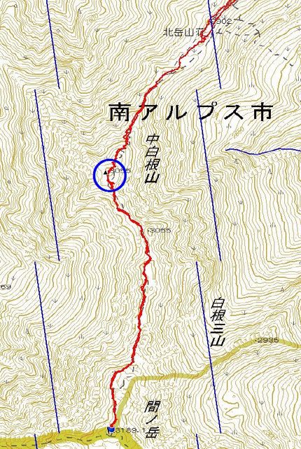 ハードルの高い北岳その３（あわ...