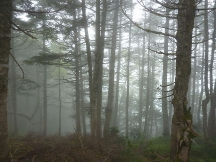 山で遭難するタイプとは