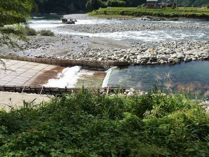 落鮎は簗（やな）で・・・・・
