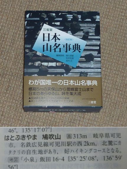 こんな辞書を買いました（紙媒体...