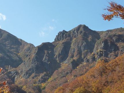 今年は紅葉は不作！