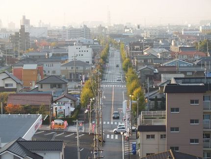 市内の街路樹の紅葉はまだ