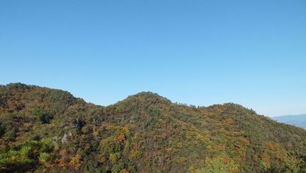 鳩吹山の紅葉