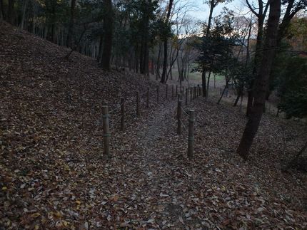 日没直前での登山道