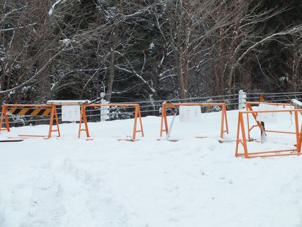 キノコ山アタック成らず
