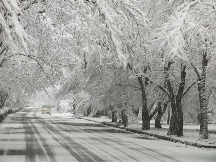 雪景色