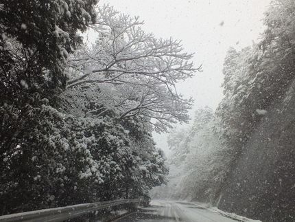 雪景色