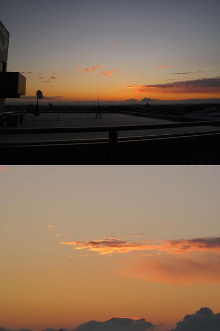 2012.01.26の朝