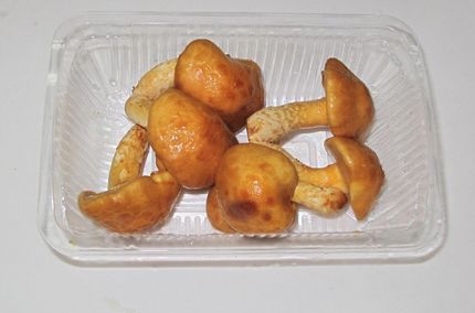 似て非なるもの