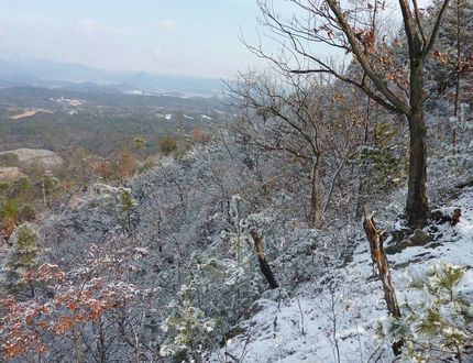 お山は雪景色