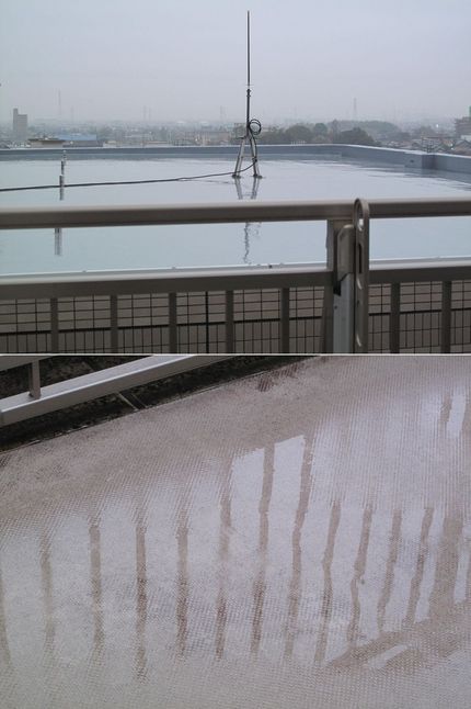 2012.02.07 雨水には...