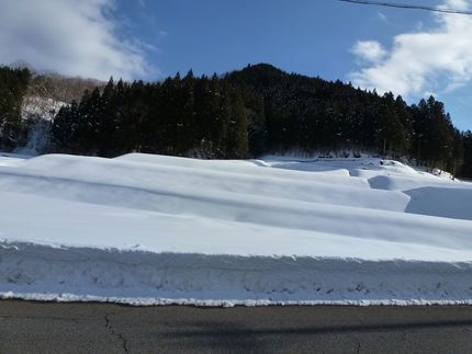 キノコ山の現状