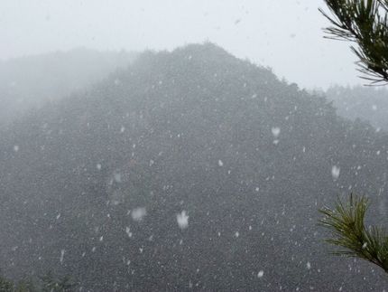 300mの低山でもこの猛烈な雪