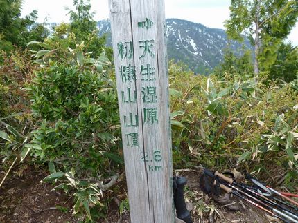天生湿原＆籾糠山トレッキング(...