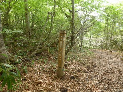 天生湿原＆籾糠山トレッキング(...