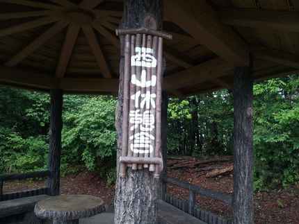 ささゆり