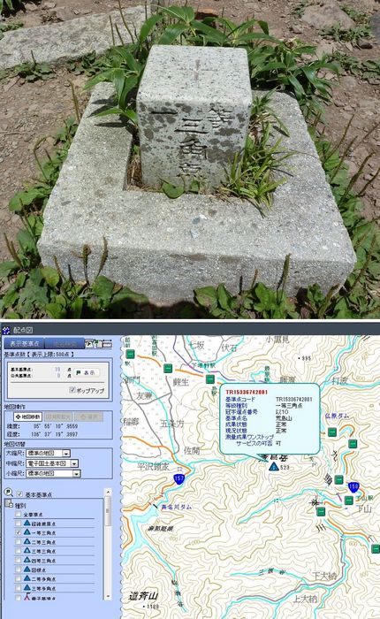 点名とは何？