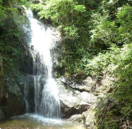 暑い時の山行きは滝場