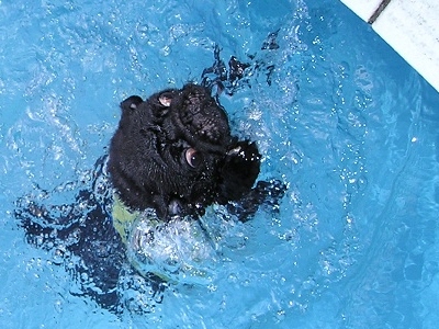 写真はWebから拝借