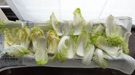 男子厨房に立つべし90（白菜の...