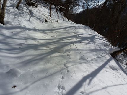 雪山讃歌