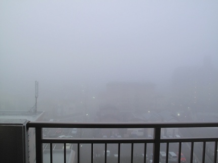 霧の朝