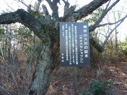 鳩吹山の山火事