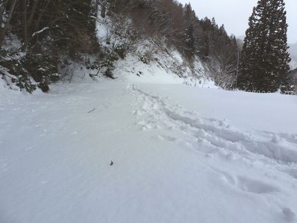 雪山トレッキング