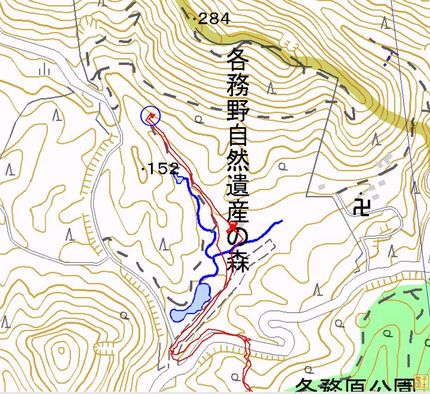 春を告げる福寿草