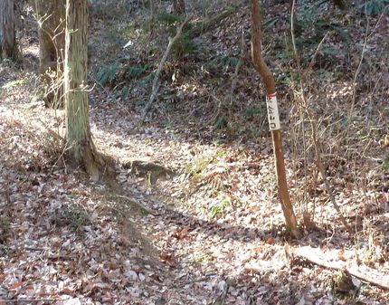 八木山へのエントリー方法