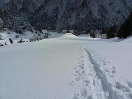 命がけのスポーツとビジネスとの...