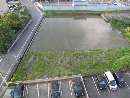 今年の田植えは少し遅目