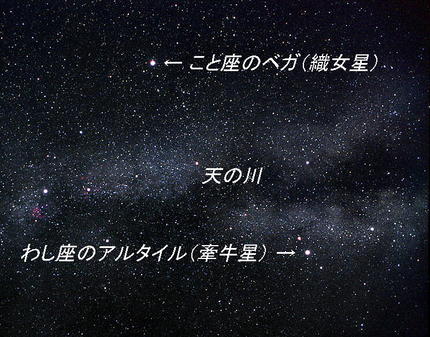 今日は会社の記念日