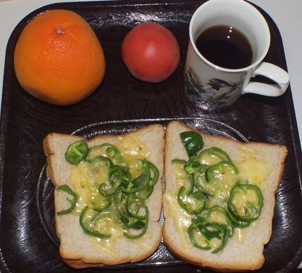 今朝のKUMAの食事(2013...