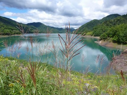 お山は秋