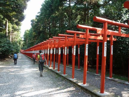 狐の嫁入り