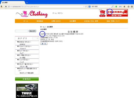 これが詐欺サイトの現物
