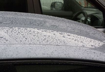 長雨・・・・・