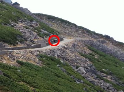 今年は熊が里山に降りてくる予想