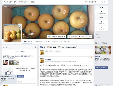 秋の味覚（梨）